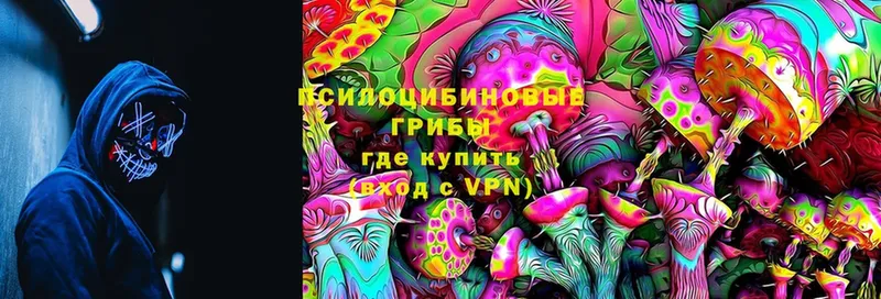 Галлюциногенные грибы MAGIC MUSHROOMS  Гороховец 